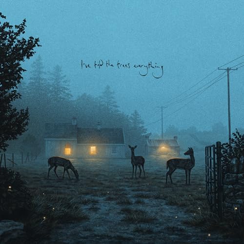 Album Art for I've Told The Trees Everything by Dermot Kennedy