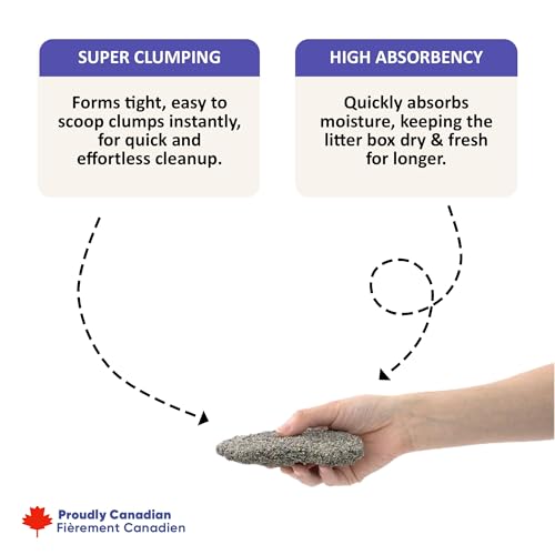 Image of Canada Cat Litter - Natural Bentonite Cat Litter with Activated Carbon-Odour Control and Highly Absorbent Litter for Cat (Pack of 2, Unscented)