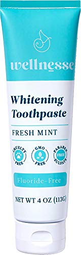 Wellnesse: Whitening Toothpaste - Fresh Mint - 1 Tube, 4 Oz - Clean Teeth, Soothe Gums And Freshen Breath - Cruelty-Free, Non-Gmo - No Parabens, Sulfates, Glycerin, Or Fluoride #TOP3