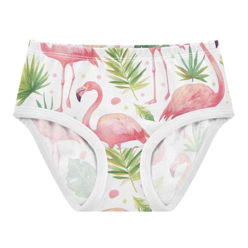 GuoChe Triangle Panties Underwear Moisture Wicking Organic Underpants for Toddler in Sizes 2T,3T, 4T, 5T, 6Y and 8Y