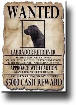 Labrador Retriever Wanted Fridge Magnet (Black)