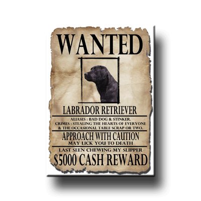 Labrador Retriever Wanted Fridge Magnet (Black)