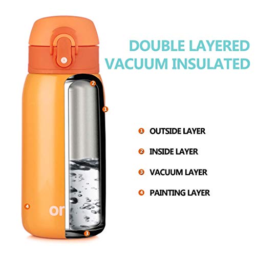 Sprouts Stainless Steel Vacuum Insulated Kids Water Bottle | 24 Hours Cold, 12 Hours Hot | Reusable Metal Water Bottle | Leak-Proof Sports Flask | 11 Oz #TOP4