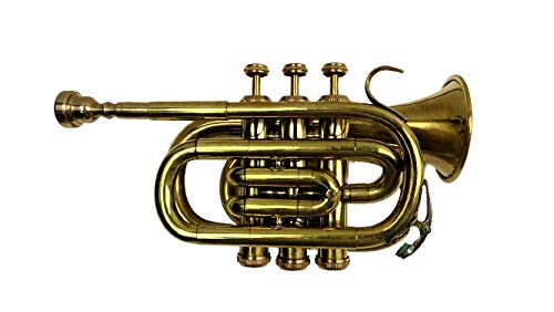 Brass Pocket Trumpet Brass Finish Awesome Sounds Quality Bb W/Case+Mp