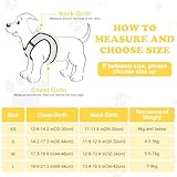 OFFCUP Hundegeschirr Leine Set für Hunde, Atmungsaktive Step-In Geschirr aus Mesh mit gepolsterter Weste Anti Zug Reflektierend Verstellbar Weich Welpengeschirr Katzengeschirr, Gelb, S