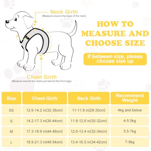 OFFCUP Hundegeschirr Leine Set für Hunde, Atmungsaktive Step-In Geschirr aus Mesh mit gepolsterter Weste Anti Zug Reflektierend Verstellbar Weich Welpengeschirr Katzengeschirr, Gelb, S
