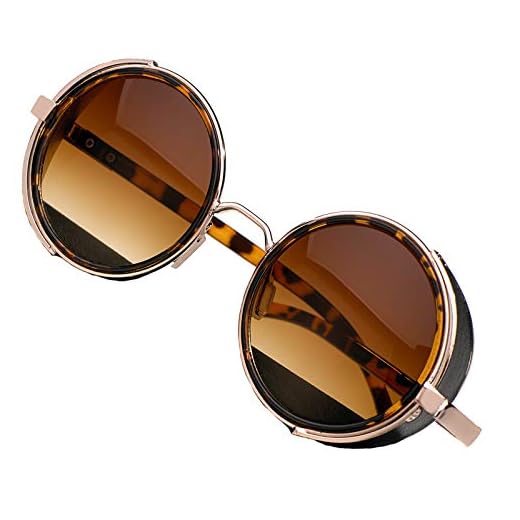 MFAZ Morefaz Ltd Homme Femme Rond Lunettes de Soleil Miroir Cyber Goggle Steampunk Lunettes de Cas Lentille (Panther)