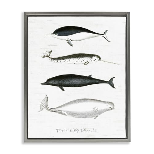 'Nautical Sea Life Whales Narwhal Marine'| Floating Frame Canvas Art