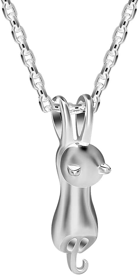 NanMuc Pet Cremation Jewelry for Ashes Memorial Ash Jewelry Keepsake Cat Urn Pendants for Animal Ashes Necklace