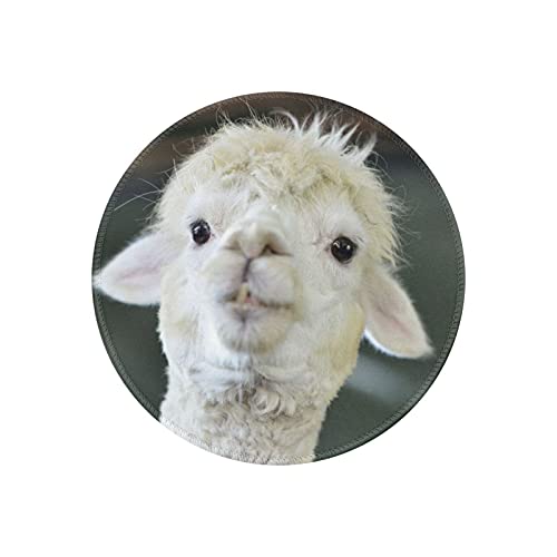 }EXpbh ی^ ApJ ʐ^   h ~ S Q[~O}EXpbh m[gp\R PC Eh}EXpbh fXN}bg ϋvǂ ItBXp rWlXp ƒp Q[p ~` 20cm