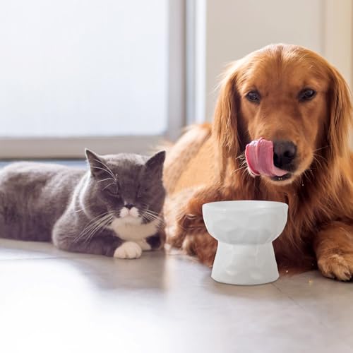 Bebedero para gatos y perros de interior: cuenco cerámico elevado HOMSFOU para el comedor del hogar 7
