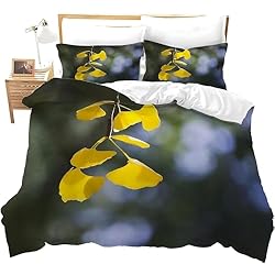Funda Nordica Biloba Funda Nordica Cama 90 Juvenil Ginkgo Biloba Juego de Cama Plantas de Microfibra Suave Impresión 3D Funda Nórdica Ginkgo Biloba Funda Edredon 135x200 cm y 2 Fundas de Almohada C826