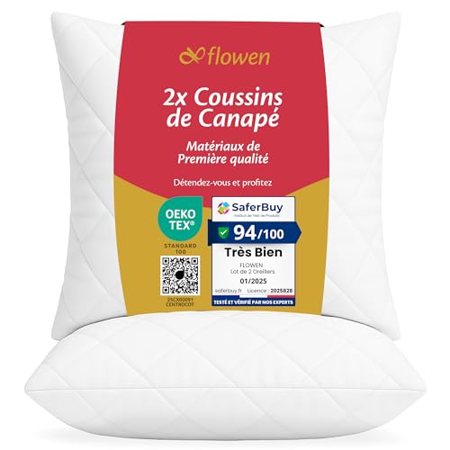 Flowen Oreiller 65x65 Lot de 2 pour Le Lit Coussins