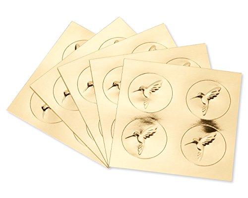 Papyrus Blank Cards With Envelopes, Sea Life (20-Count) #TOP2