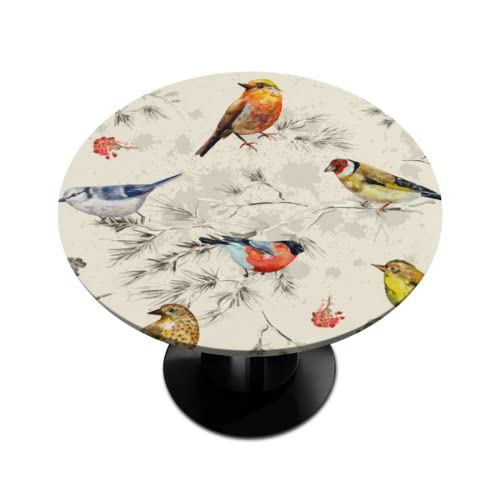 Pardick Mantel redondo ajustable con diseño de camachuelos de invierno, mantel elástico vintage para mesas redondas, impermeable, lavable, se adapta a mesas de hasta 36 a 42 pulgadas de diámetro