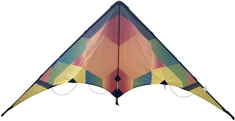 Adult Outdoor Sports Double line Stunt Kite, 60.24 inch Beginner Sports Kite, Beach Park Fun Toy Including String and Bag