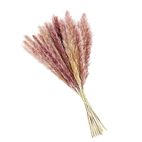 irene inevent 15 Peças Secas Plantas de Grama Pampa Enfeite de Planta Romântico Cena DIY Adereço de