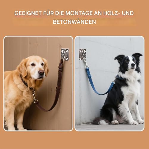 Sichere Hundeleine Wandhaken - 2er-Pack Hundeanhänger Kupplung | Praktische Edelstahl Halterung zur Leinenführung | Robuste Anbindevorrichtung für Alle Hunde | Verwendung für Innen und Außenbereich