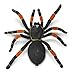 Safari Ltd. Orange-Kneed Tarantula Figurine - Realistic 8