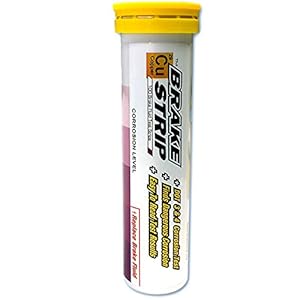 Phoenix Systems (3001-B) Brake Fluid Test Strips, 100 Test Strips Per Tube, BrakeStrip, FASCAR, Copper,White