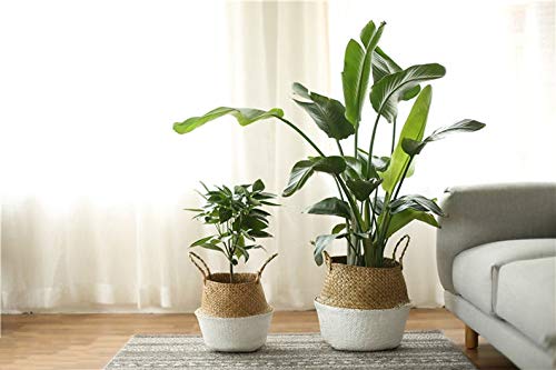 2 PACK LiloCraft Seagrass Plant Basket (Size: 9x8 inches, Pattem:White Bottom) Home Decor Storage Solution with Eco-Friendly, Woven Basket Planter Indoor with Handles, Round Boho Plant Pot