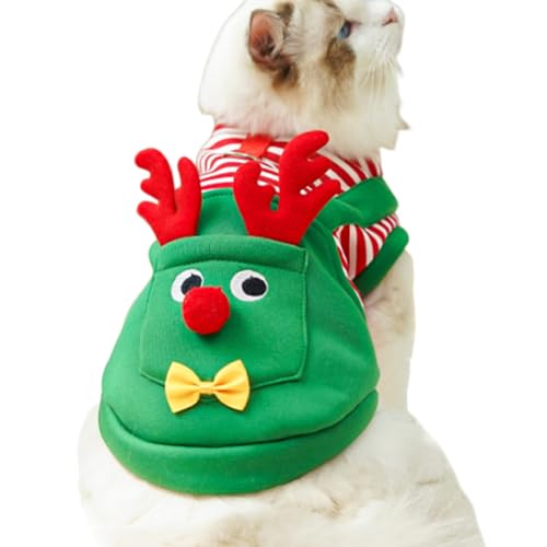 Saausageli p NX}X  - NX}X giJC RX`[ ybgp,tFXeBo ybg - p[eB[ W܂ x  L ʐ^ AEghA U tFXeBo 