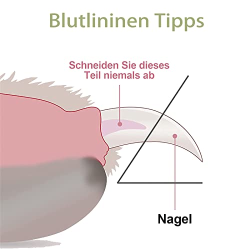 Cortaúñas para Gatos, Cortaúñas para Mascotas, Cortauñas de uñas para Perros y Gatos, Tijeras para Uñas para Perros Acero Inoxidable Alicates Uñas Profesionales para Mascotas Perros, Gatos, Conejas - imagen 5