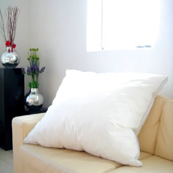 Amazon｜Danfill フィベールクッションピロー 80X80 cm JPA024