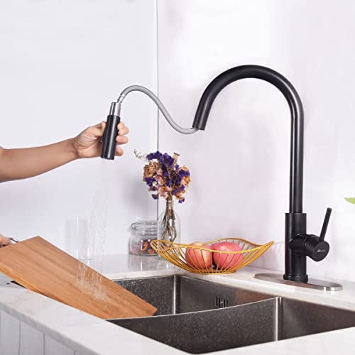 Trywell Matte Black Kitchen Faucet High Arc Single Handle Faucet,Sink Bar Preppull Down Out Sprayer Deck Plate Hot & Cold Water 304 Food Grade Solid Stainless Steel #TOP2