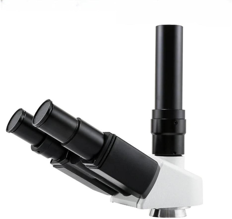 鋳鉄製 大型羽釜② 新品未使用 直径約88cm お祭り 芋の子会 イベント 鋳鉄製 大型羽釜② 新品未使用 直径約88cm お祭り 芋の子会 イベント