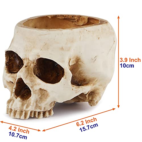 Readaeer Skull Planter Resin Skull Shaped Flower Pot For Home Office Desk Decorations #TOP2