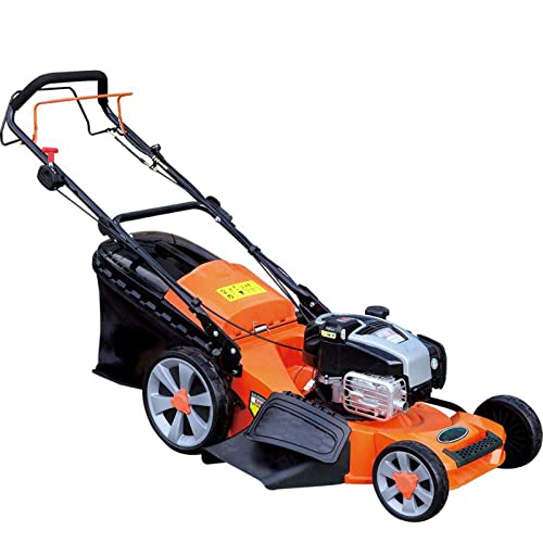 WQZzjm Cortadora de césped portátil inalámbrica autopropulsada a Gasolina, Antideslizante, con Bolsa, 70 l, Motor OhvStroke de 163 CC