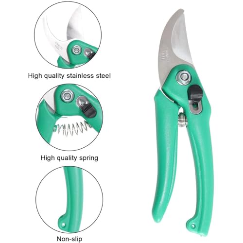Image of JD FRESH Hand Pruner Cutter /Stainless Steel Bypass Blade Pruning Shears /Safety Lock /Non Slip Handle /Return Spring /Garden Scissors and Plant Cutter for Gardening /Plants /Bushes & Hedges /Branches (Green)