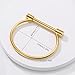AILUOR Stainless Steel D Shape Bar Screw Shackle Horseshoe Novelty Fashion Bangle Bracelet Jewelry Unisex (Gold)