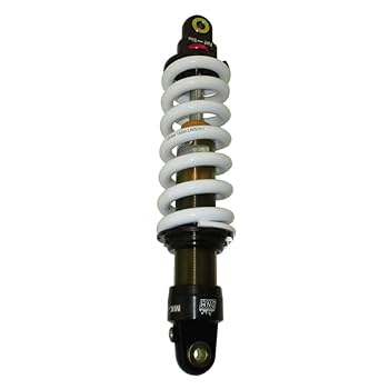 Amazon.com: DJ-Motor DNM MK-AR 320mm 1000LBS Spring Rear