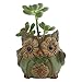 Ogrmar 6Pack Owl Plant Window Boxes Cute Owl Flower Pot/Modern Ceramic Succulent Planter Pots/Tiny Flower Plant Containers Animal Decor