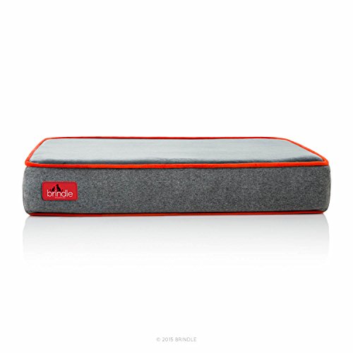 Brindle Waterproof Designer Memory Foam Pet Bed-Removable Machine Washable Cover-4 Inch Orthopedic Pet Bed-Joint Relief #TOP2
