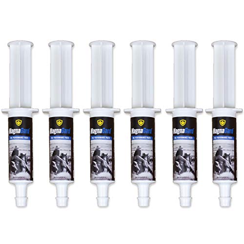 MagnaGard Pre-Performance Calming Paste for Horses - All Natural Gastric Support by Eagle Equine (6 Pack)