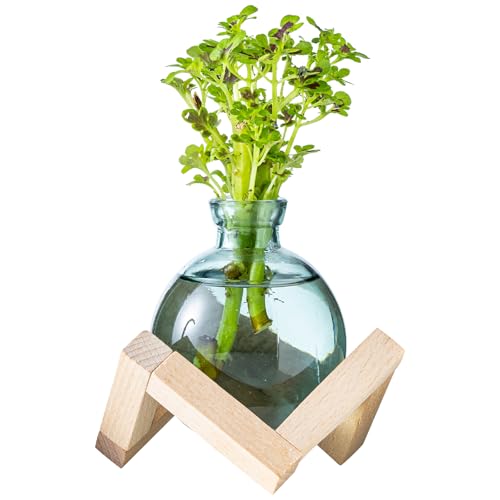 wangsdjy Plant Propagation Station, Plant Terrarium with Wooden Stand for
