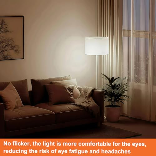 Image of ST19 LED Bulb 6W Equivalent 60W 4000k Neutral White 120V, 12PCS High Output ST19 LED Bulbs Dimmable, No Flicker ST 19 E26 Base Led Bulb, ST 19 LED Edison Light for Indoor Outdoor Lighting