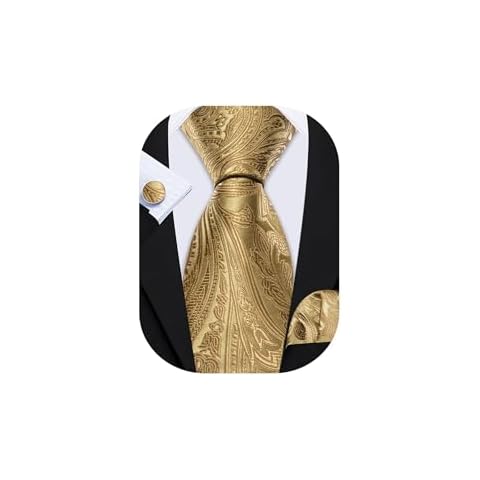 Barry.Wang Ensemble cravate en soie Cover