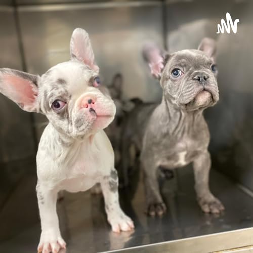 『Fractured Furries』のカバーアート