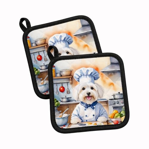 Caroline's Treasures Coton de Tulear Set of 2 Kitchen Pot Holders