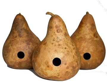 Best Birdhouses with Drainage: Which One Will Keep Your Feathered Friends Happy? 2 best birdhouses with drainage