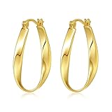 DAILY VIBES Big Gold Twisted Hoop Earrings for Women 925 Sterling Silver Post Dainty Large Hypoallergenic 14k Gold Plated Oval Hoops Earrings for Women
