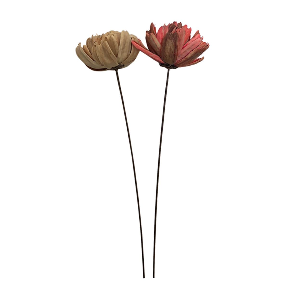 Cabilock Lot de 2 Mini Bouquets de Fleurs Artificielles Séchées Naturelles Décoration pour La Maison Un Mariage