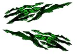 Kawasaki Ninja ZX14 ZX12 ZX10 ZX9 ZX7 ZX6 R 250R 300 Skull Rip Green Decal Stickers