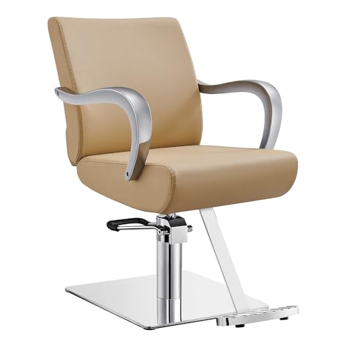 Dir Modern Salon Styling Chair Hydraulic Hair Cutting Stylist Chair