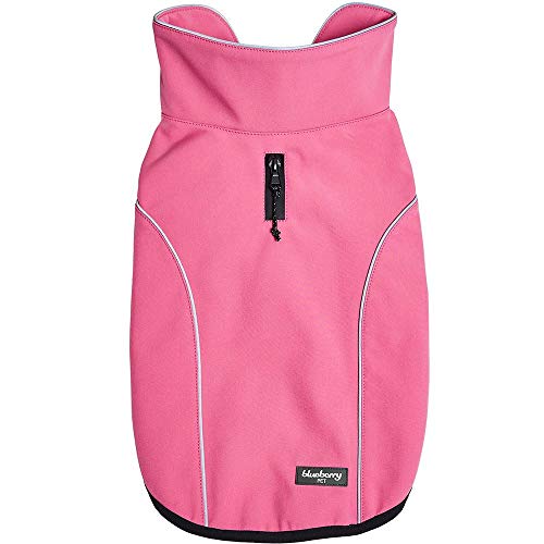 16 BudgetFriendly Dog Snowsuits UK Keep Your Pet Warm!