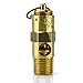 125 PSI Air Compressor Safety Relief Pop Off Valve Solid Brass 1/4" Male NPT New